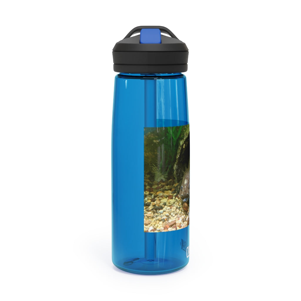 Axolotl CamelBak Eddy® Water Bottle in vibrant colors, showcasing its ergonomic design and spill-proof biting valve.