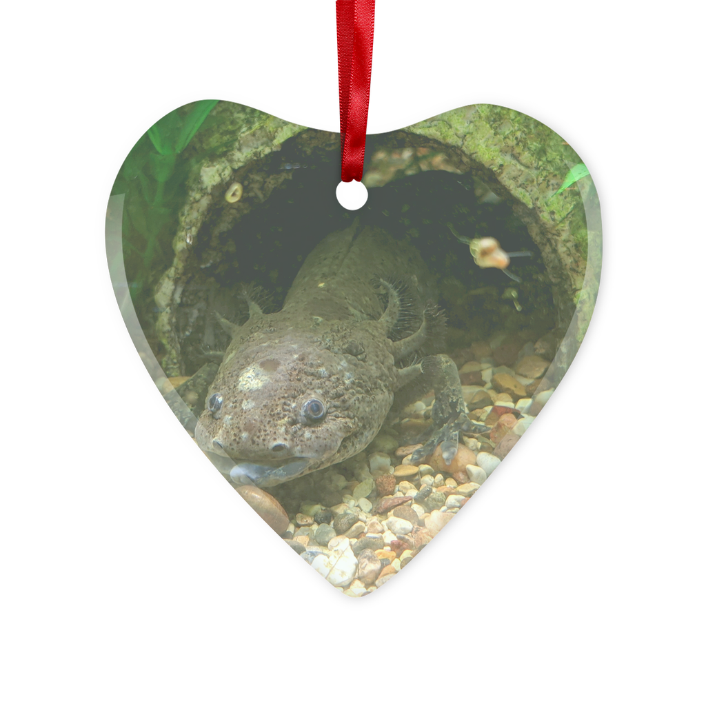 Axolotl Glass Hanging Ornament in round and heart shapes, beautifully crafted with a red ribbon and gold string for hanging.