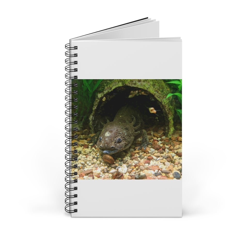 Axolotl Spiral Journal featuring a colorful front cover design, showcasing various styles including blank, dot grid, lined, and task manager.