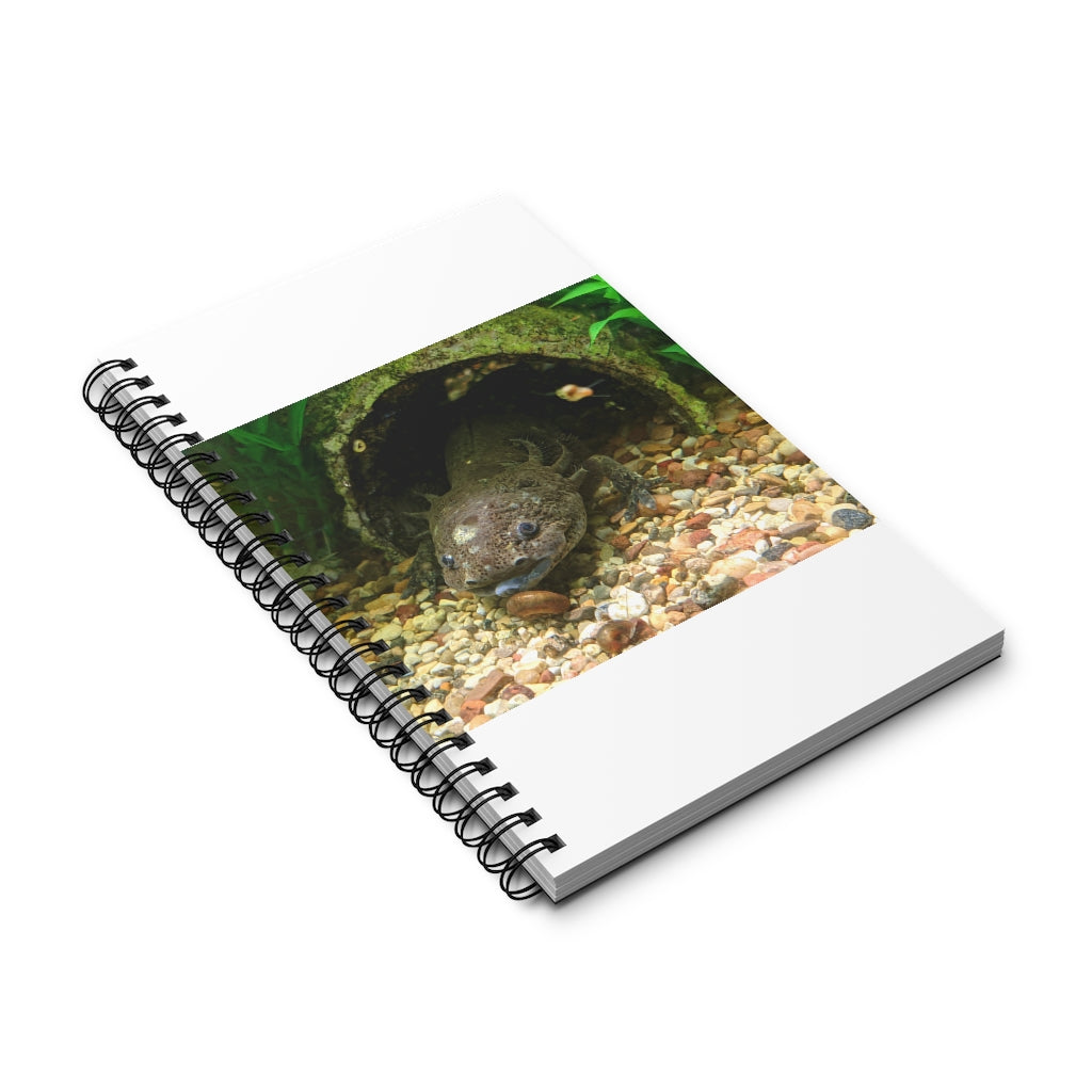 Axolotl Spiral Journal featuring a colorful front cover design, showcasing various styles including blank, dot grid, lined, and task manager.