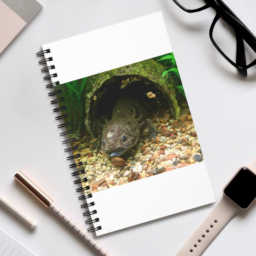 Axolotl Spiral Journal featuring a colorful front cover design, showcasing various styles including blank, dot grid, lined, and task manager.