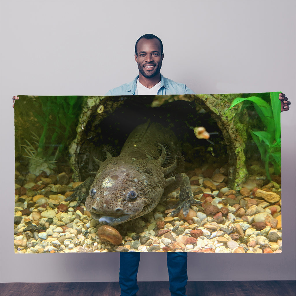 A colorful Axolotl Sublimation Flag measuring 5FT x 3FT, featuring a vibrant axolotl design on durable polyester fabric with double-stitched edges.