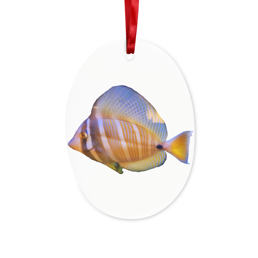 Beautiful Colored Fish Ceramic Hanging Ornament with red ribbon and gold string, perfect for Christmas decoration.