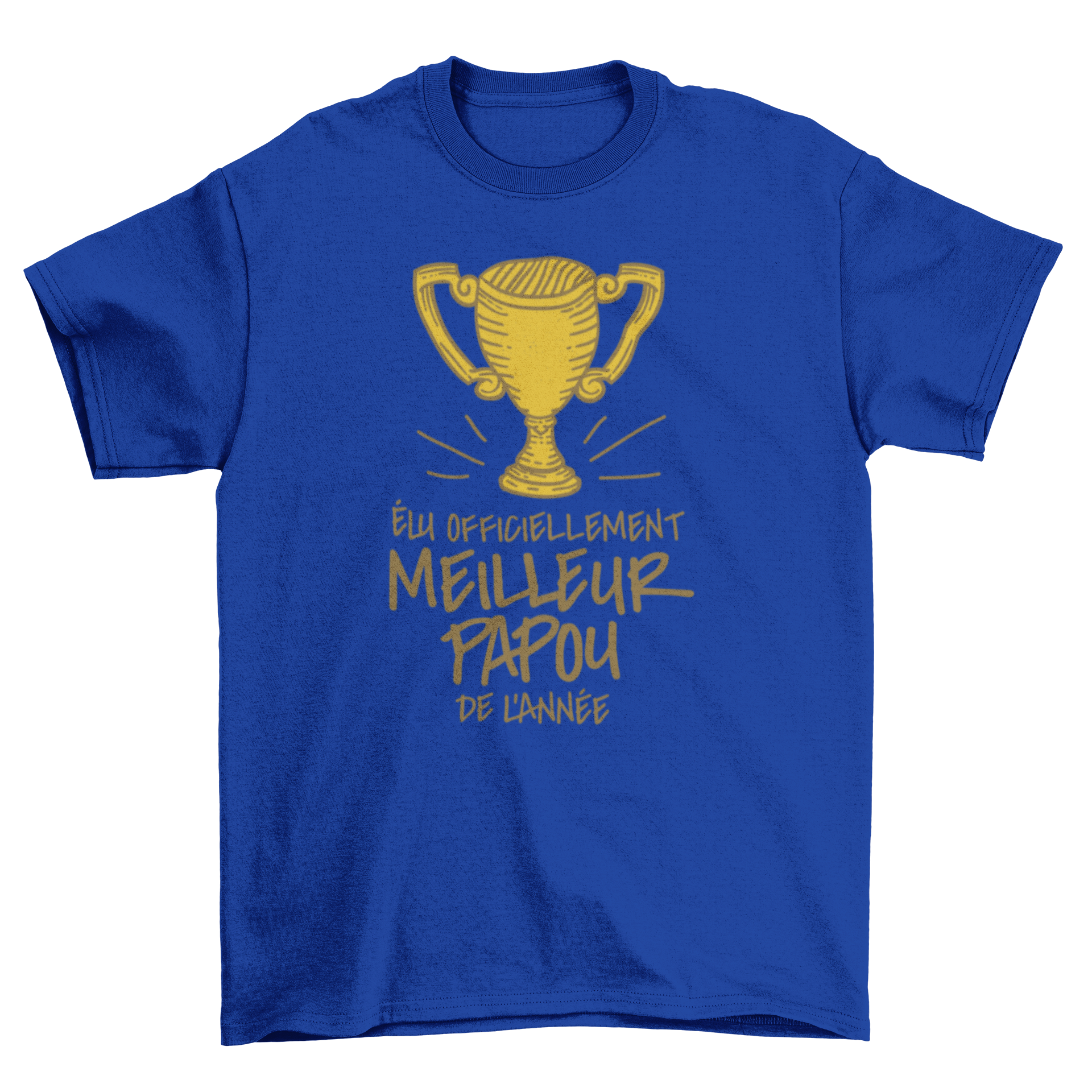 Best Grandad T-shirt featuring a trophy design and French quote celebrating grandfathers.