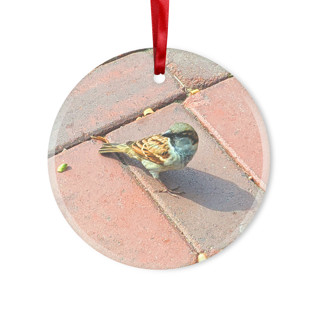 A beautiful Bird Glass Hanging Ornament in round and heart shapes, featuring a red ribbon and gold string for hanging.