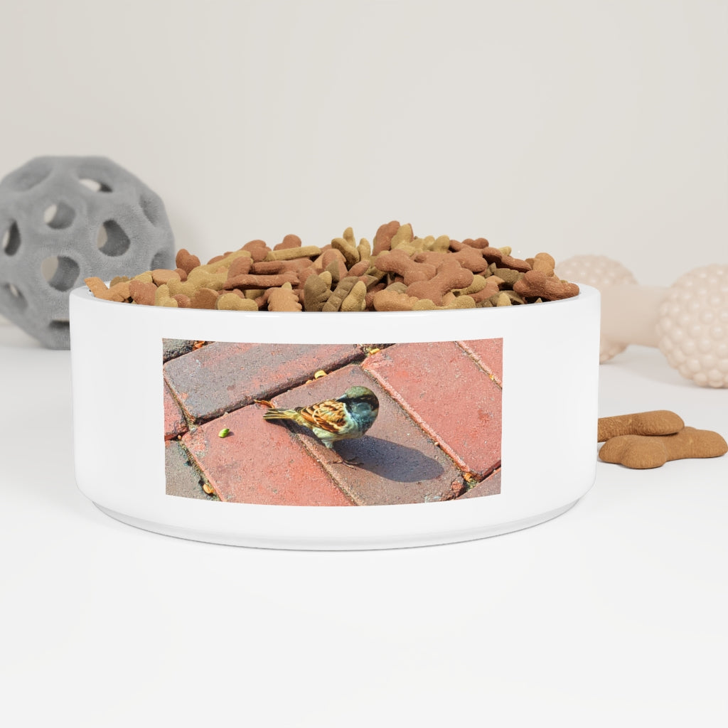 Custom ceramic Bird Pet Bowl with a glazed finish, measuring 6 inches in diameter, featuring a unique design that wraps around half of the bowl.