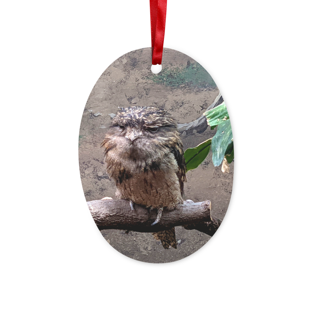 BirdOwl Ceramic Hanging Ornament with red ribbon and gold string, beautifully crafted for holiday decor.