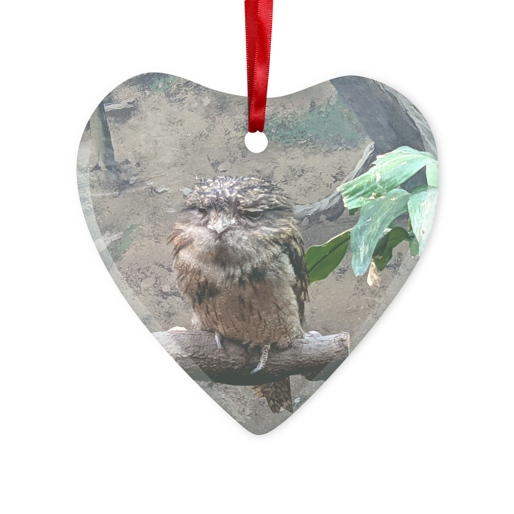 BirdOwl Glass Hanging Ornament in round and heart shapes, featuring a red ribbon and gold string, elegantly packaged in a white box.