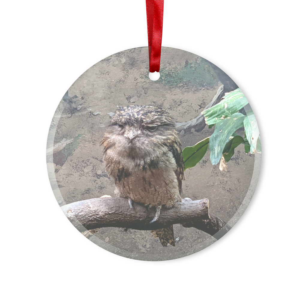 BirdOwl Glass Hanging Ornament in round and heart shapes, featuring a red ribbon and gold string, elegantly packaged in a white box.