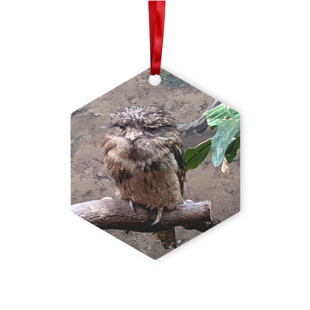 BirdOwl Metal Hanging Ornament in hexagon and star shapes, featuring a red ribbon and gold string, elegantly displayed in a white gift box.