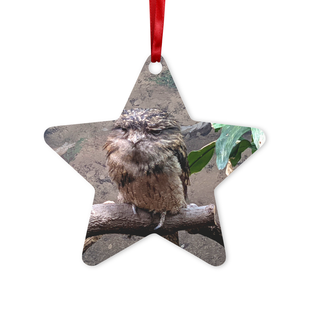 BirdOwl Metal Hanging Ornament in hexagon and star shapes, featuring a red ribbon and gold string, elegantly displayed in a white gift box.