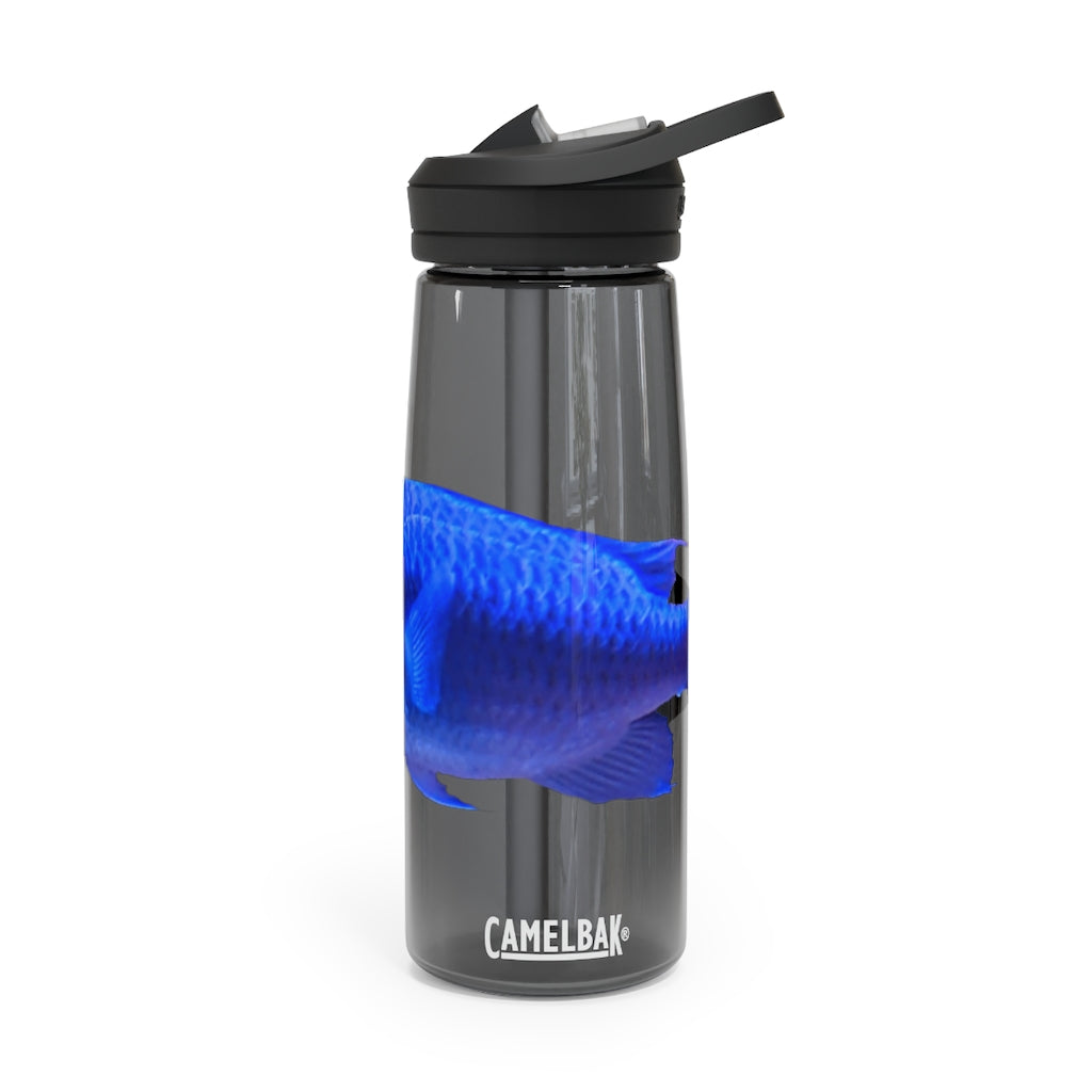 Blue Fish CamelBak Eddy® Water Bottle in 20oz and 25oz sizes, showcasing its robust design and spill-proof valve.