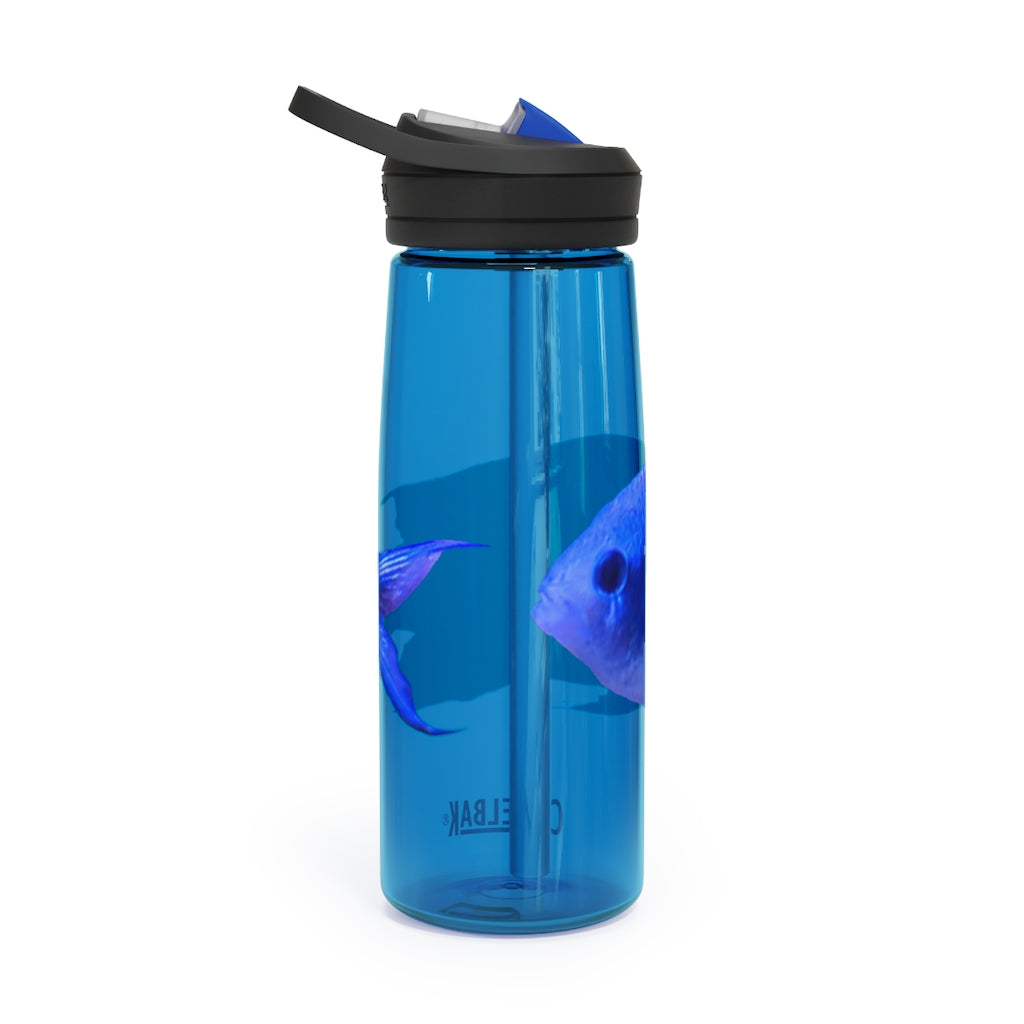 Blue Fish CamelBak Eddy® Water Bottle in 20oz and 25oz sizes, showcasing its robust design and spill-proof valve.