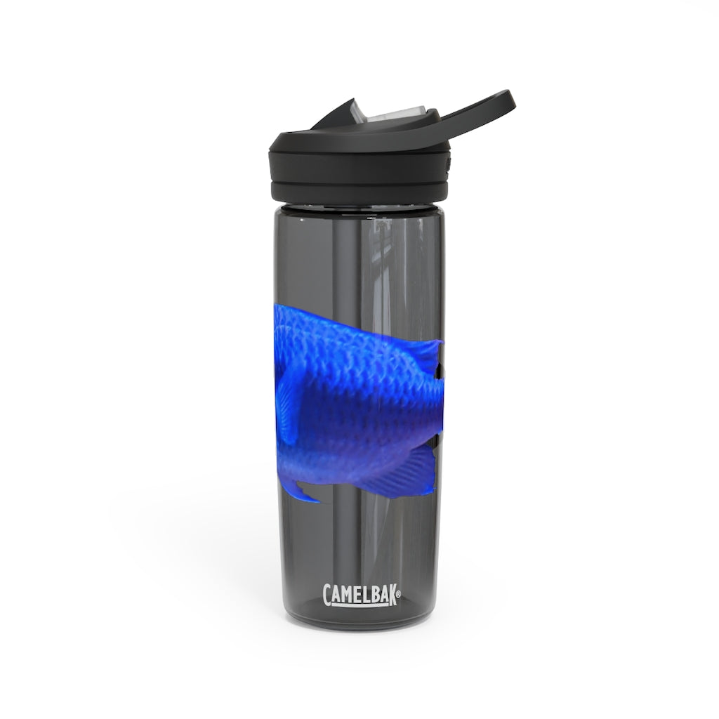 Blue Fish CamelBak Eddy® Water Bottle in 20oz and 25oz sizes, showcasing its robust design and spill-proof valve.