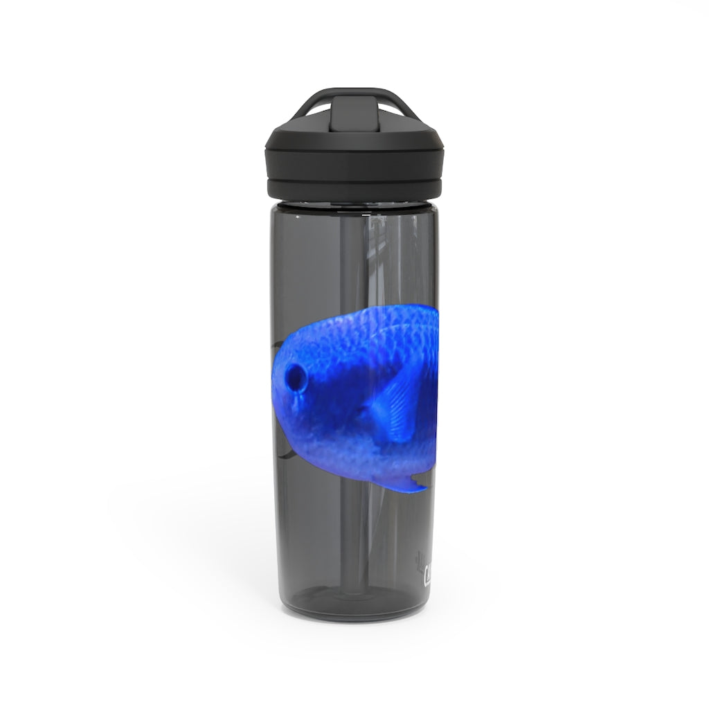 Blue Fish CamelBak Eddy® Water Bottle in 20oz and 25oz sizes, showcasing its robust design and spill-proof valve.