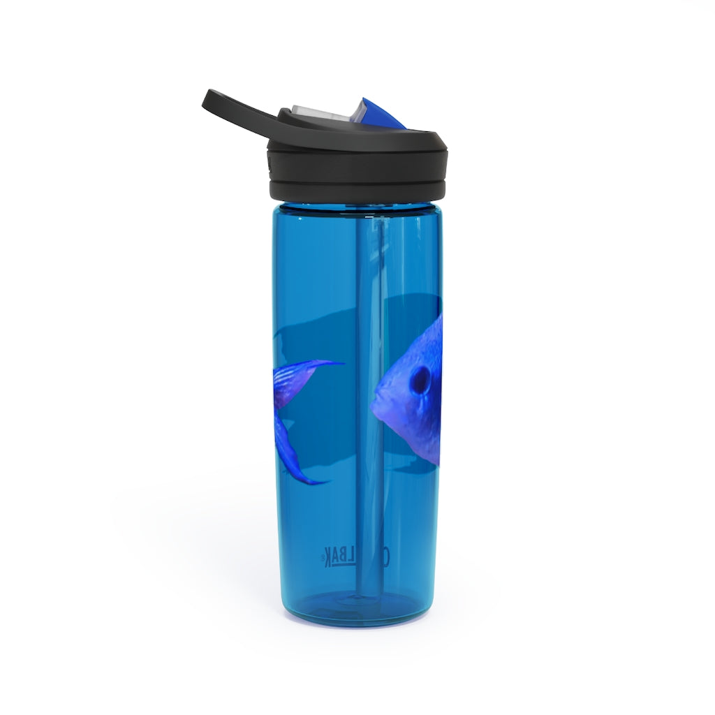 Blue Fish CamelBak Eddy® Water Bottle in 20oz and 25oz sizes, showcasing its robust design and spill-proof valve.