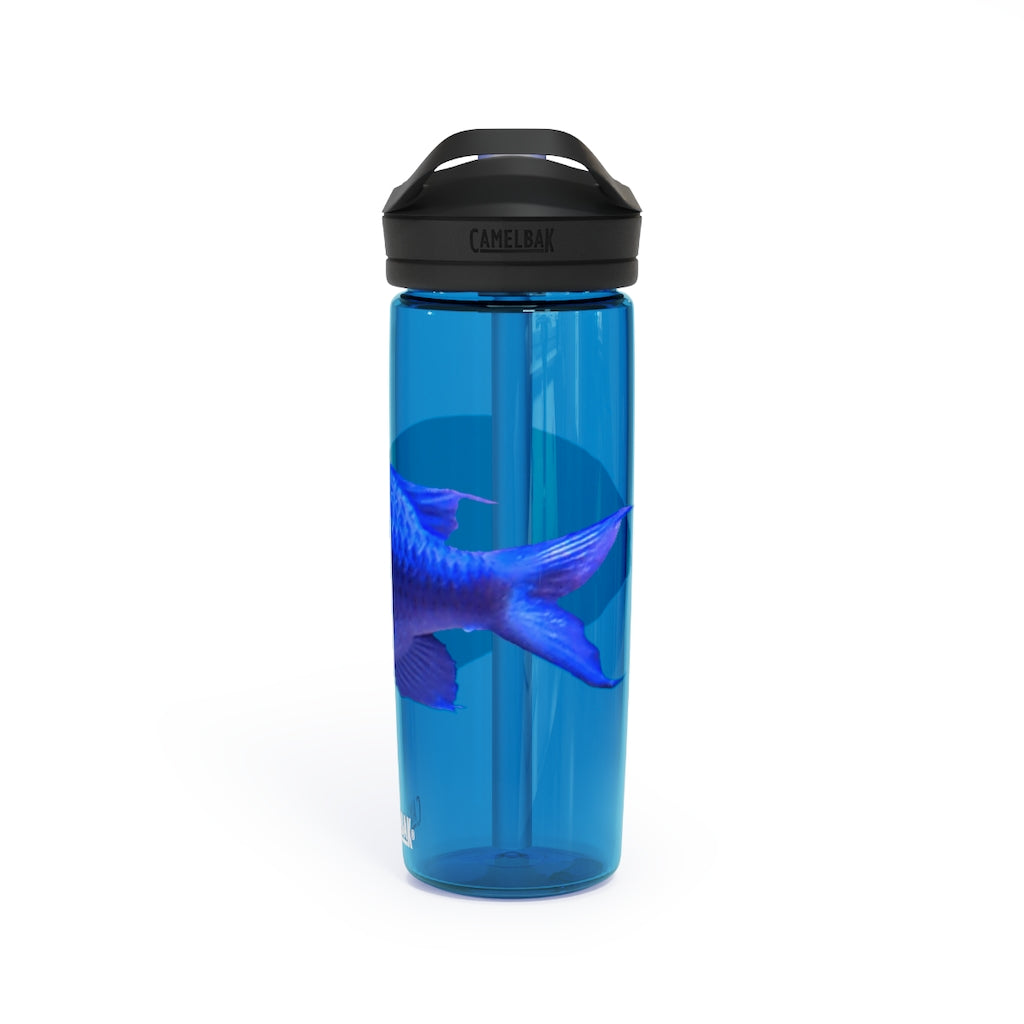 Blue Fish CamelBak Eddy® Water Bottle in 20oz and 25oz sizes, showcasing its robust design and spill-proof valve.