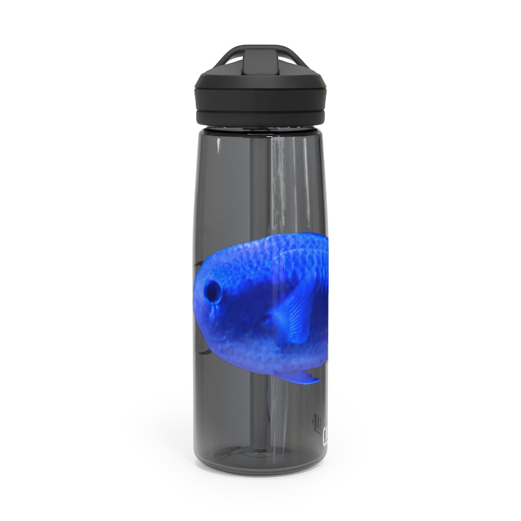 Blue Fish CamelBak Eddy® Water Bottle in 20oz and 25oz sizes, showcasing its robust design and spill-proof valve.