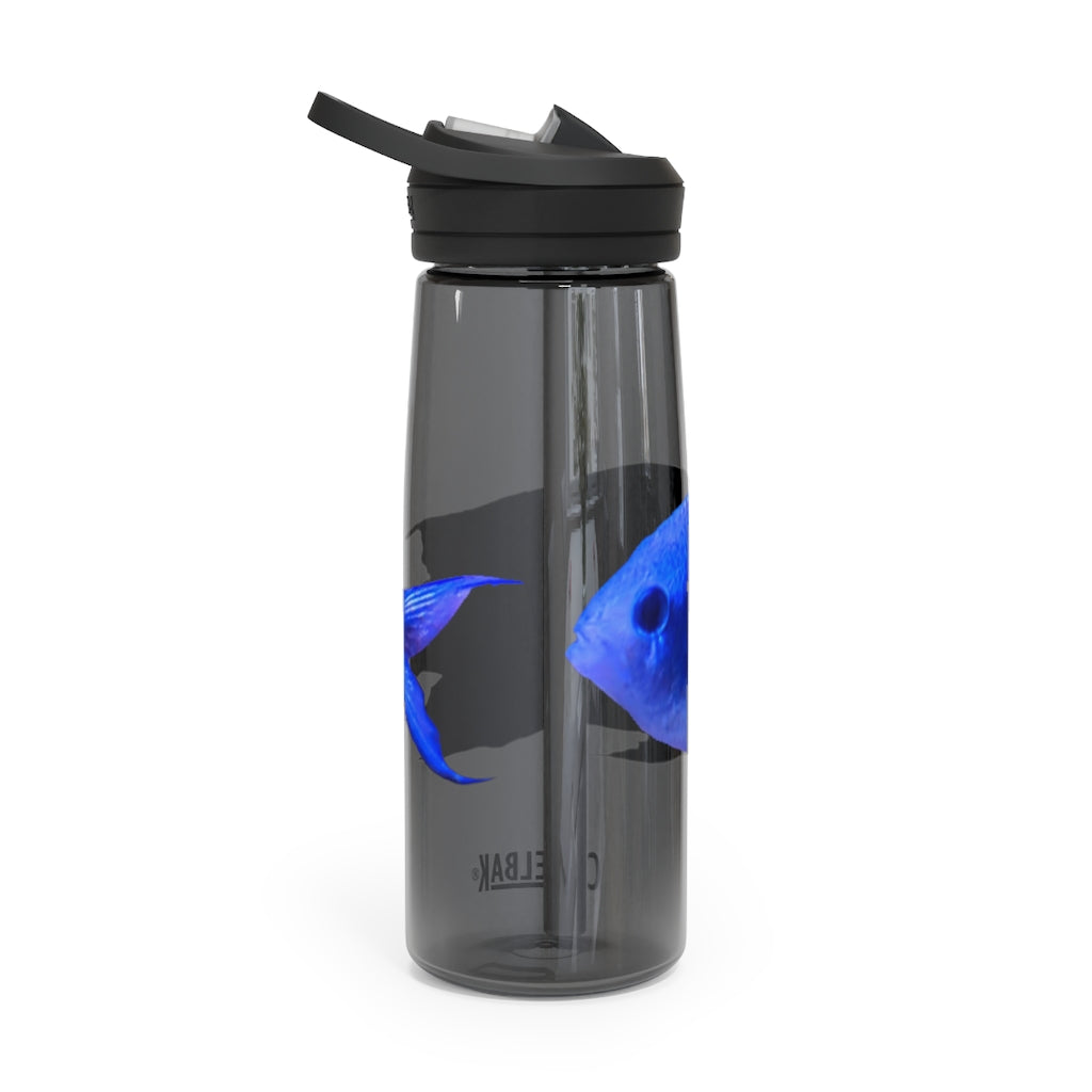 Blue Fish CamelBak Eddy® Water Bottle in 20oz and 25oz sizes, showcasing its robust design and spill-proof valve.