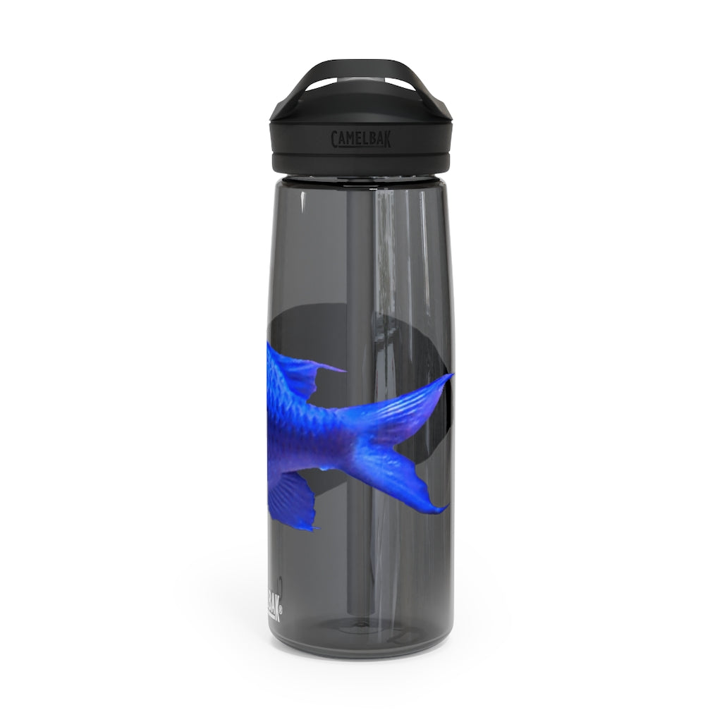 Blue Fish CamelBak Eddy® Water Bottle in 20oz and 25oz sizes, showcasing its robust design and spill-proof valve.