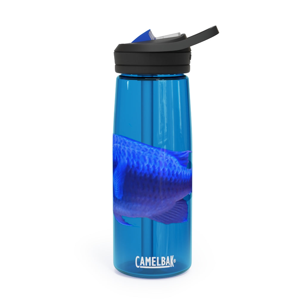 Blue Fish CamelBak Eddy® Water Bottle in 20oz and 25oz sizes, showcasing its robust design and spill-proof valve.