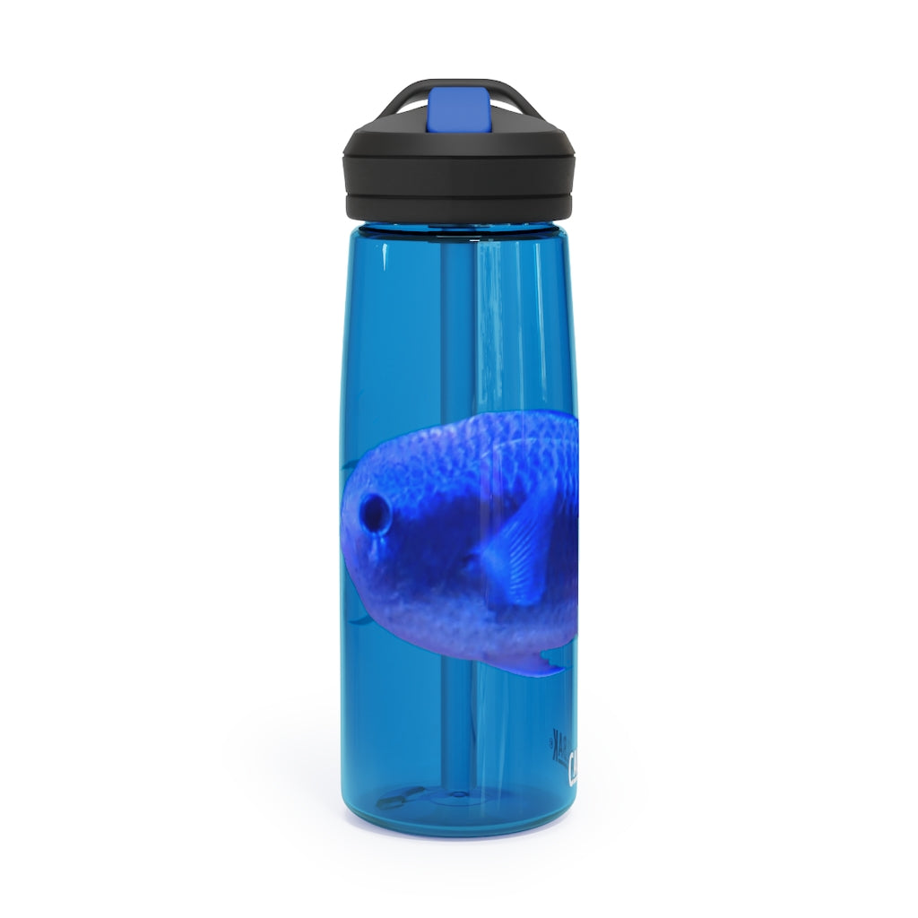 Blue Fish CamelBak Eddy® Water Bottle in 20oz and 25oz sizes, showcasing its robust design and spill-proof valve.