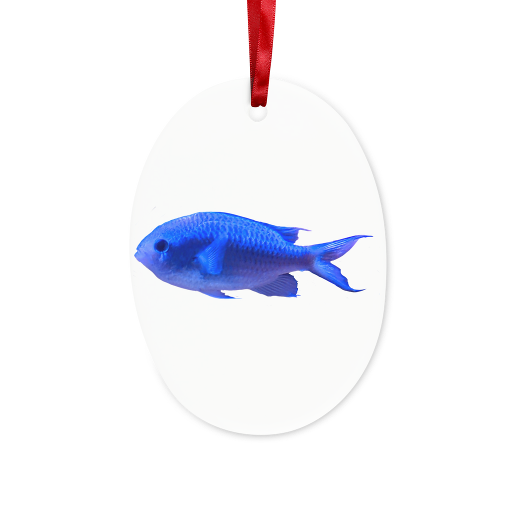 A beautifully crafted blue fish ceramic hanging ornament with a red ribbon and gold string, perfect for Christmas or as a personalized gift.