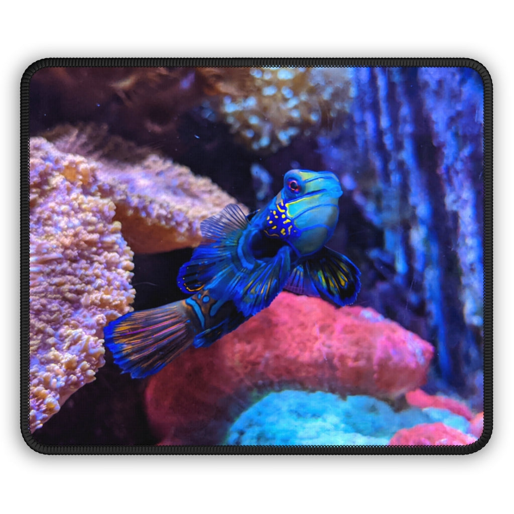 Blue Fish Gaming Mouse Pad featuring vibrant blue fish design with stitched edges and smooth surface, ideal for gaming and office use.