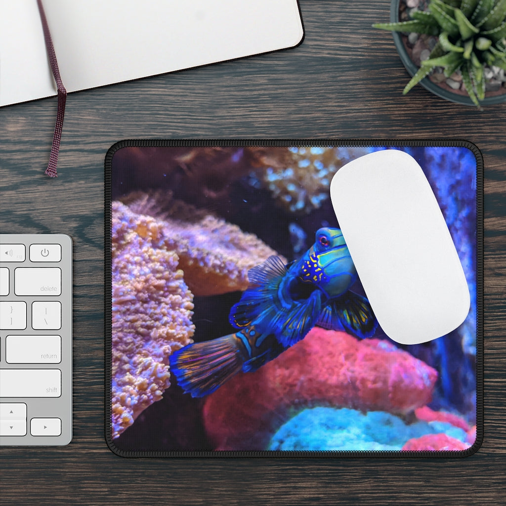 Blue Fish Gaming Mouse Pad featuring vibrant blue fish design with stitched edges and smooth surface, ideal for gaming and office use.