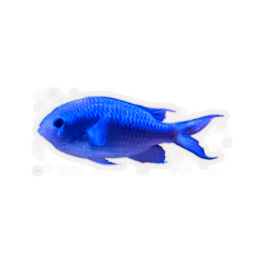 Blue Fish Kiss-Cut Stickers showcasing various custom shapes and sizes on a white background.