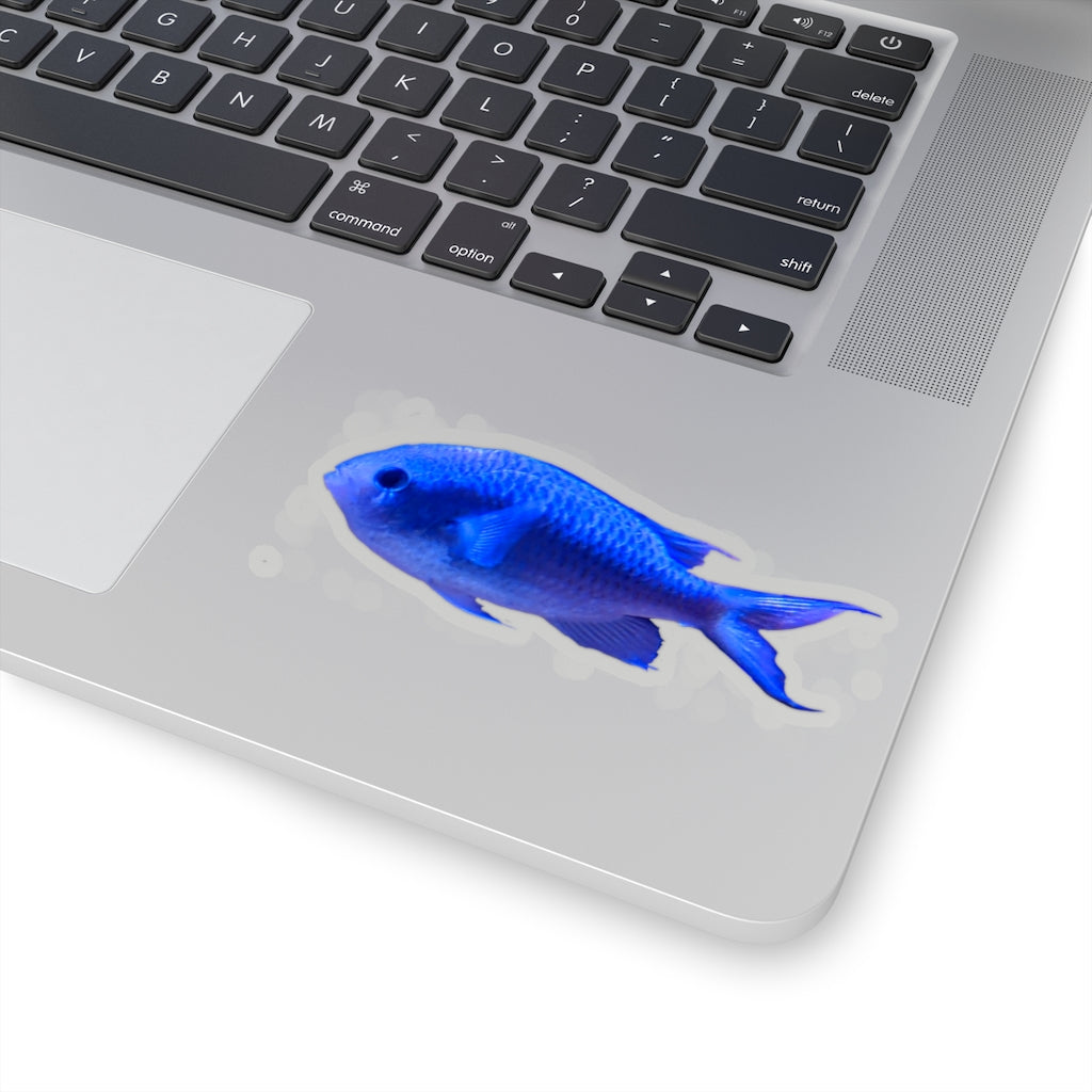 Blue Fish Kiss-Cut Stickers showcasing various custom shapes and sizes on a white background.