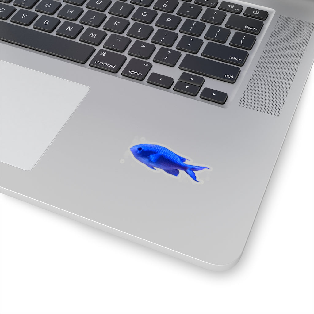 Blue Fish Kiss-Cut Stickers showcasing various custom shapes and sizes on a white background.