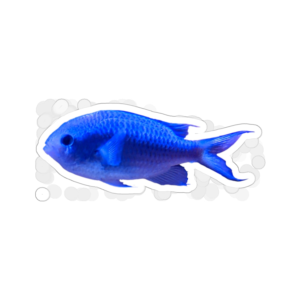 Blue Fish Kiss-Cut Stickers showcasing various custom shapes and sizes on a white background.