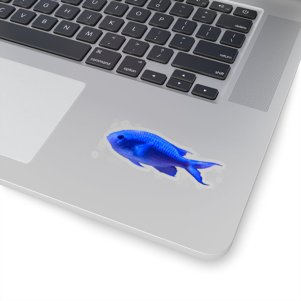 Blue Fish Kiss-Cut Stickers showcasing various custom shapes and sizes on a white background.