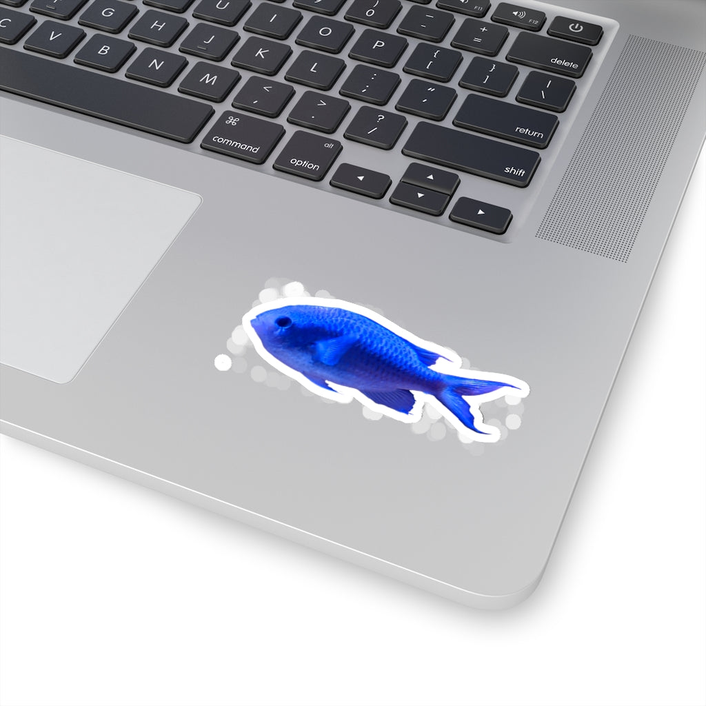 Blue Fish Kiss-Cut Stickers showcasing various custom shapes and sizes on a white background.