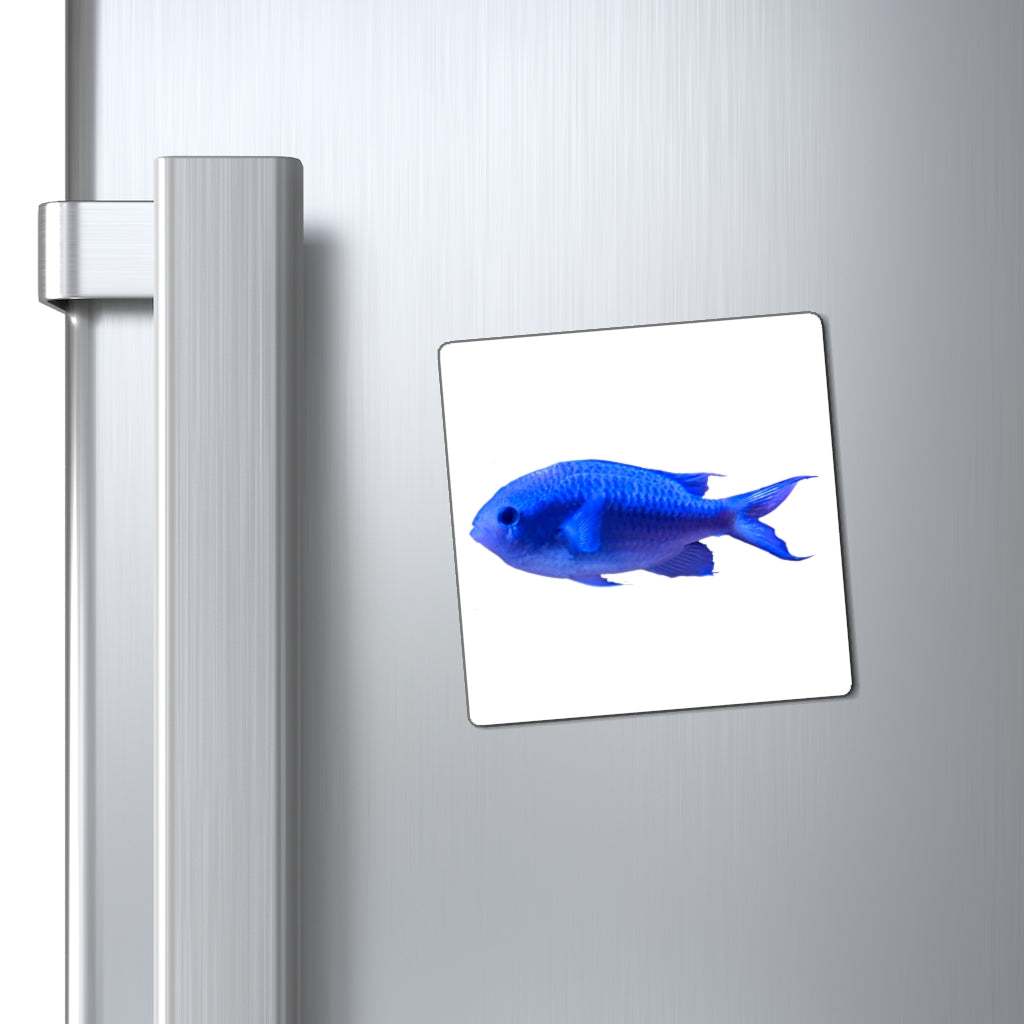 A set of vibrant blue fish magnets with a black backing, showcasing their strong and lightweight design.