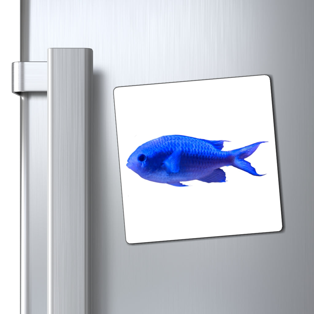 A set of vibrant blue fish magnets with a black backing, showcasing their strong and lightweight design.