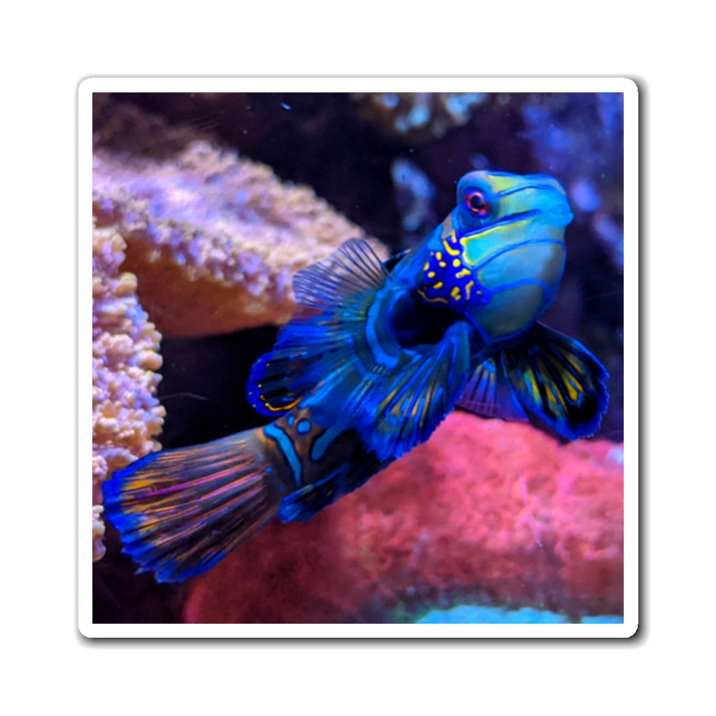 A set of vibrant blue fish magnets on a metallic surface, showcasing their strong hold and colorful design.