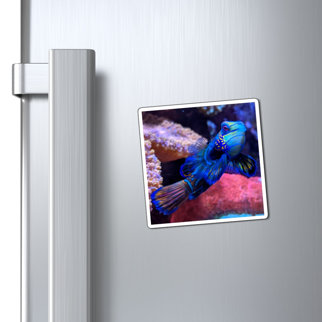 A set of vibrant blue fish magnets on a metallic surface, showcasing their strong hold and colorful design.