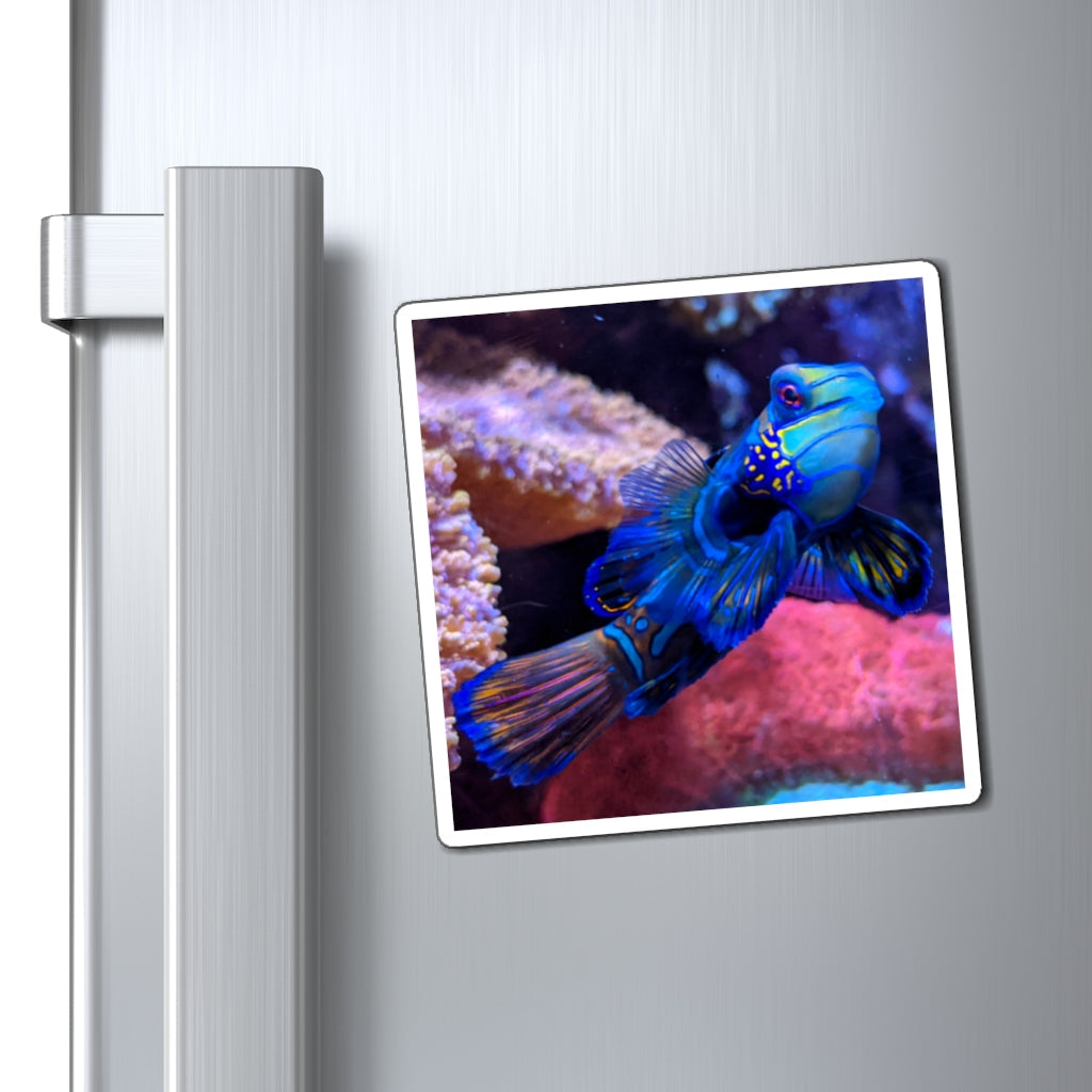 A set of vibrant blue fish magnets on a metallic surface, showcasing their strong hold and colorful design.