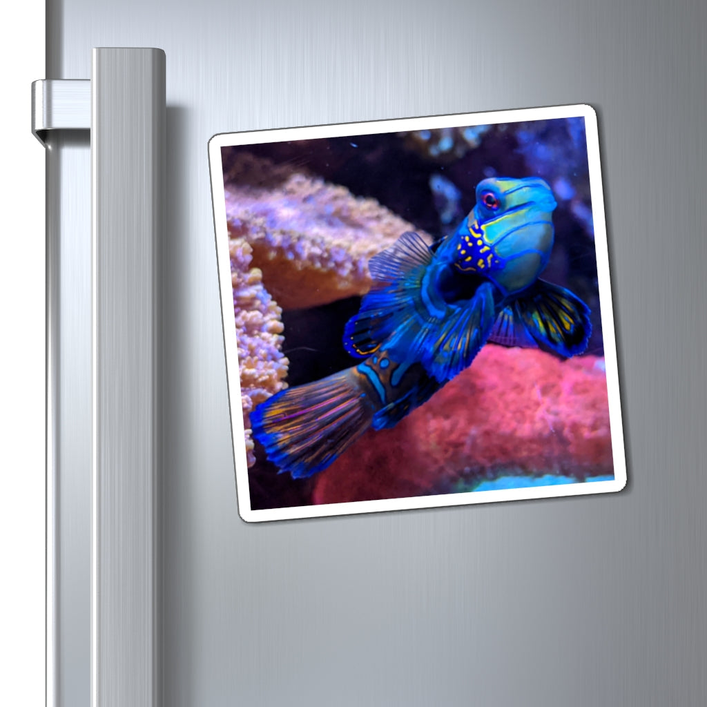 A set of vibrant blue fish magnets on a metallic surface, showcasing their strong hold and colorful design.