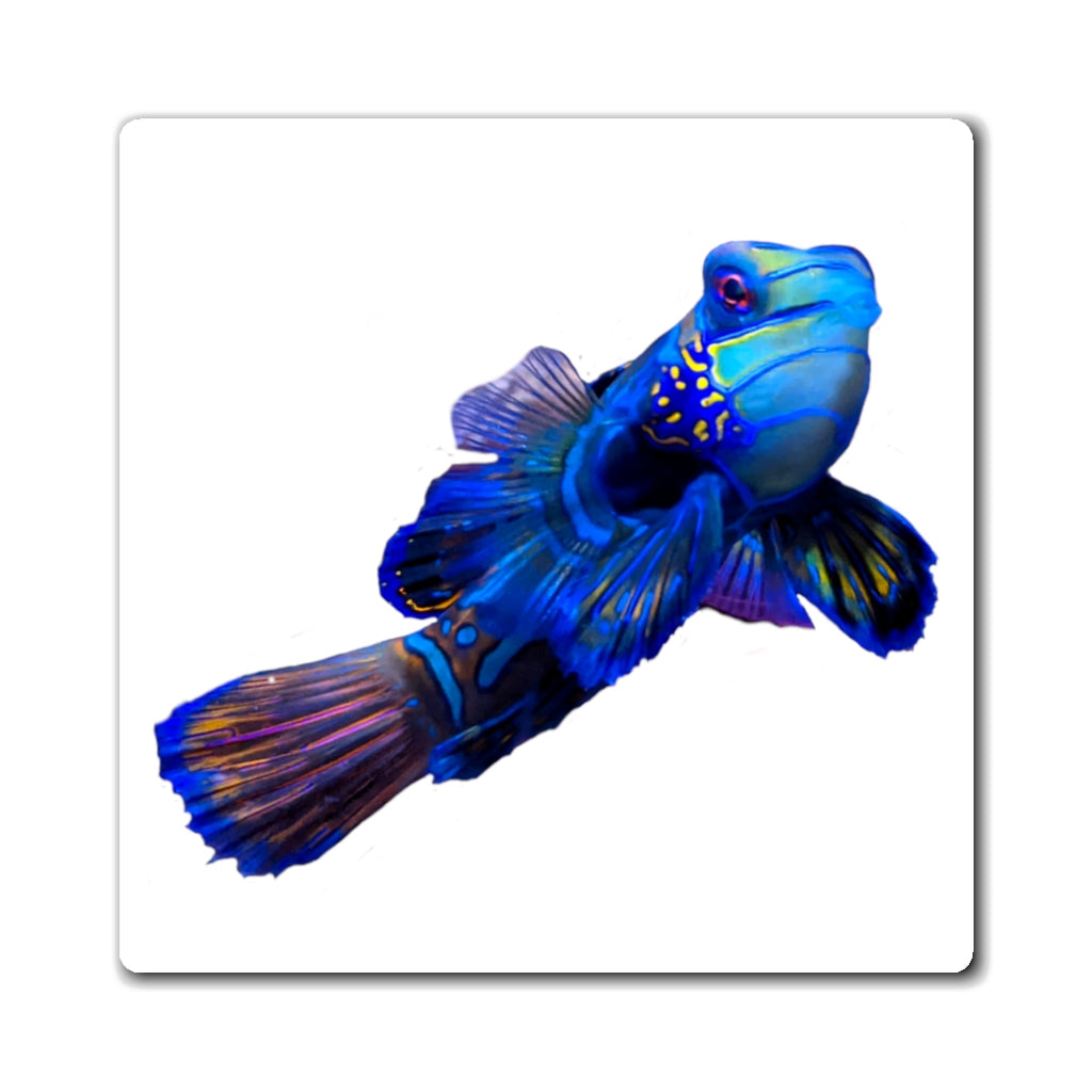 A set of vibrant blue fish magnets with a black backing, showcasing their strong holding power and lightweight design.