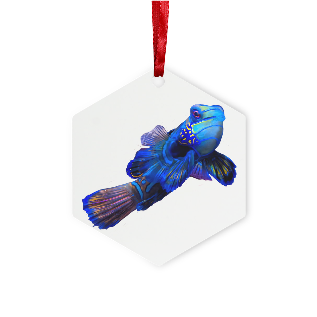 Blue Fish Metal Hanging Ornament in hexagon and star shapes, glossy white finish with red ribbon and gold string.