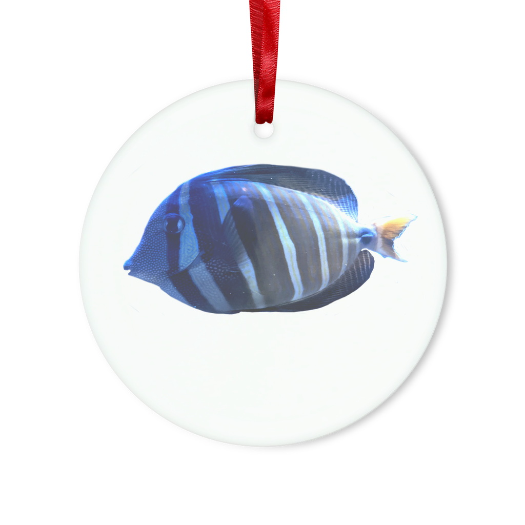 Blue striped fish glass hanging ornament with red ribbon and gold string, perfect for Christmas decoration.