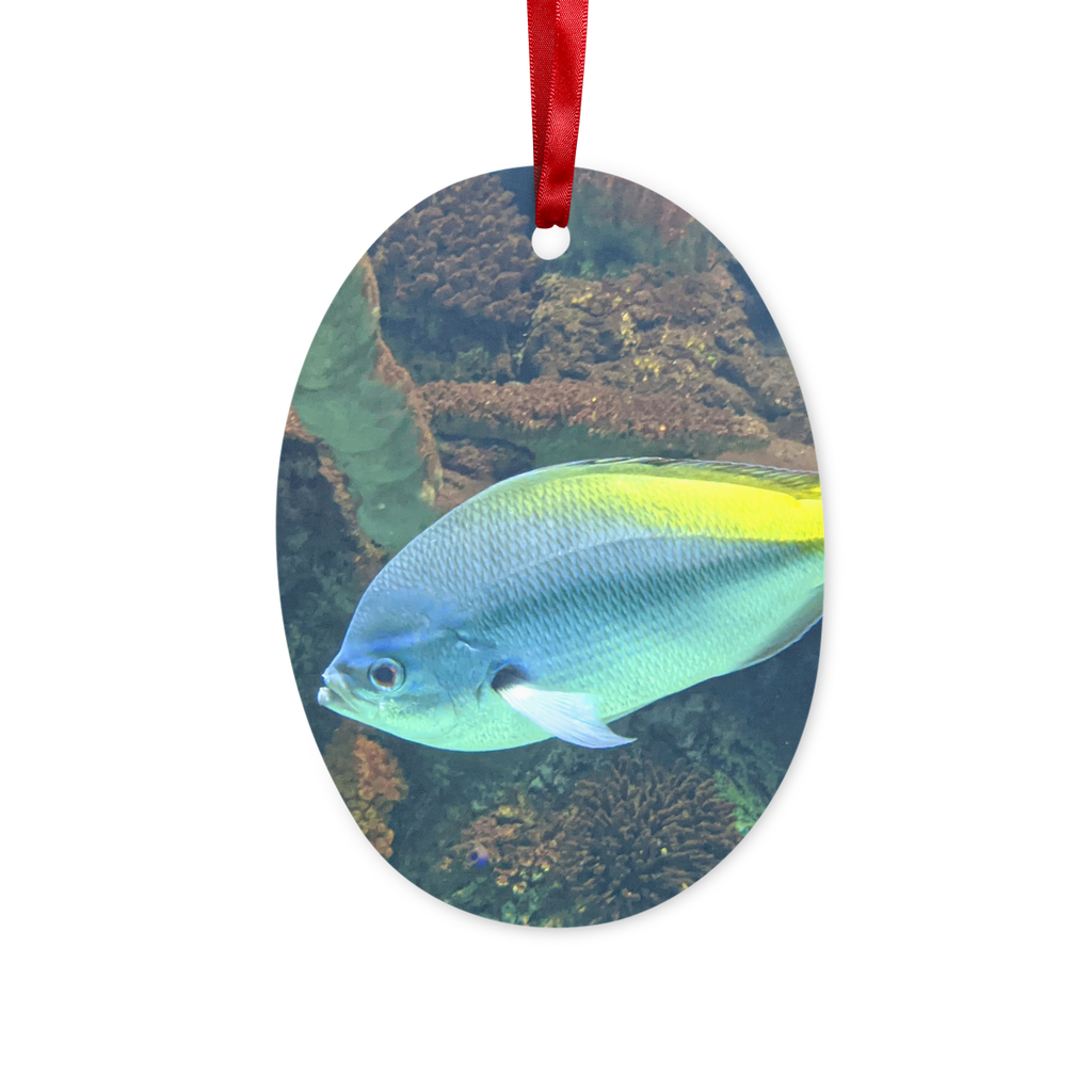 A vibrant blue and yellow ceramic fish ornament with a red ribbon and gold string, perfect for hanging on a Christmas tree or wall.