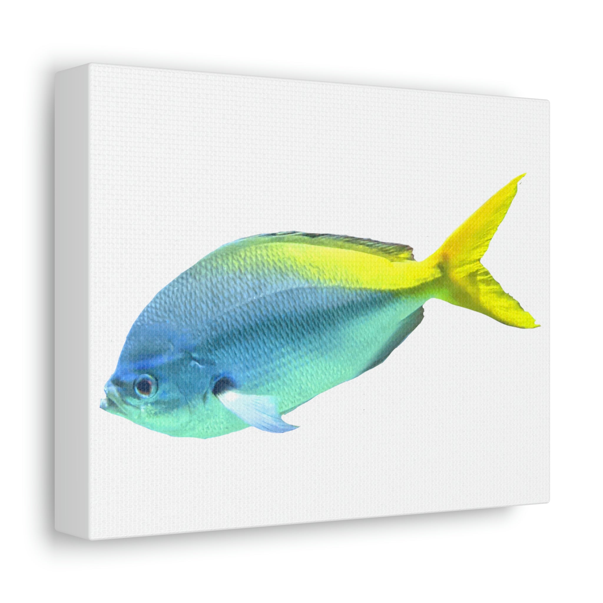 A vibrant blue and yellow fish printed on a stretched canvas, showcasing high-quality detail and color.