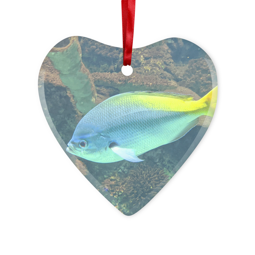 BlueYellowFish Glass Hanging Ornament in round and heart shapes, beautifully designed with a red ribbon and gold string.