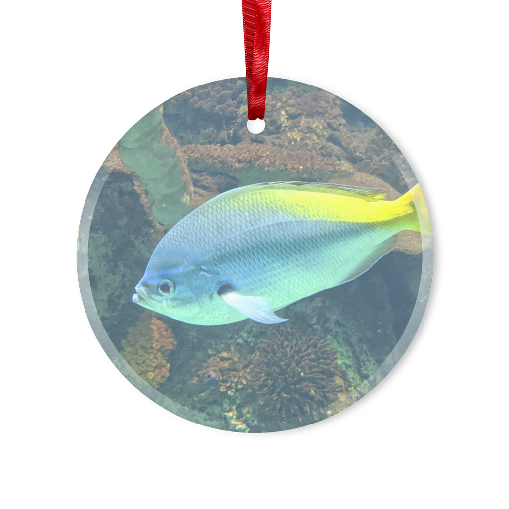 BlueYellowFish Glass Hanging Ornament in round and heart shapes, beautifully designed with a red ribbon and gold string.