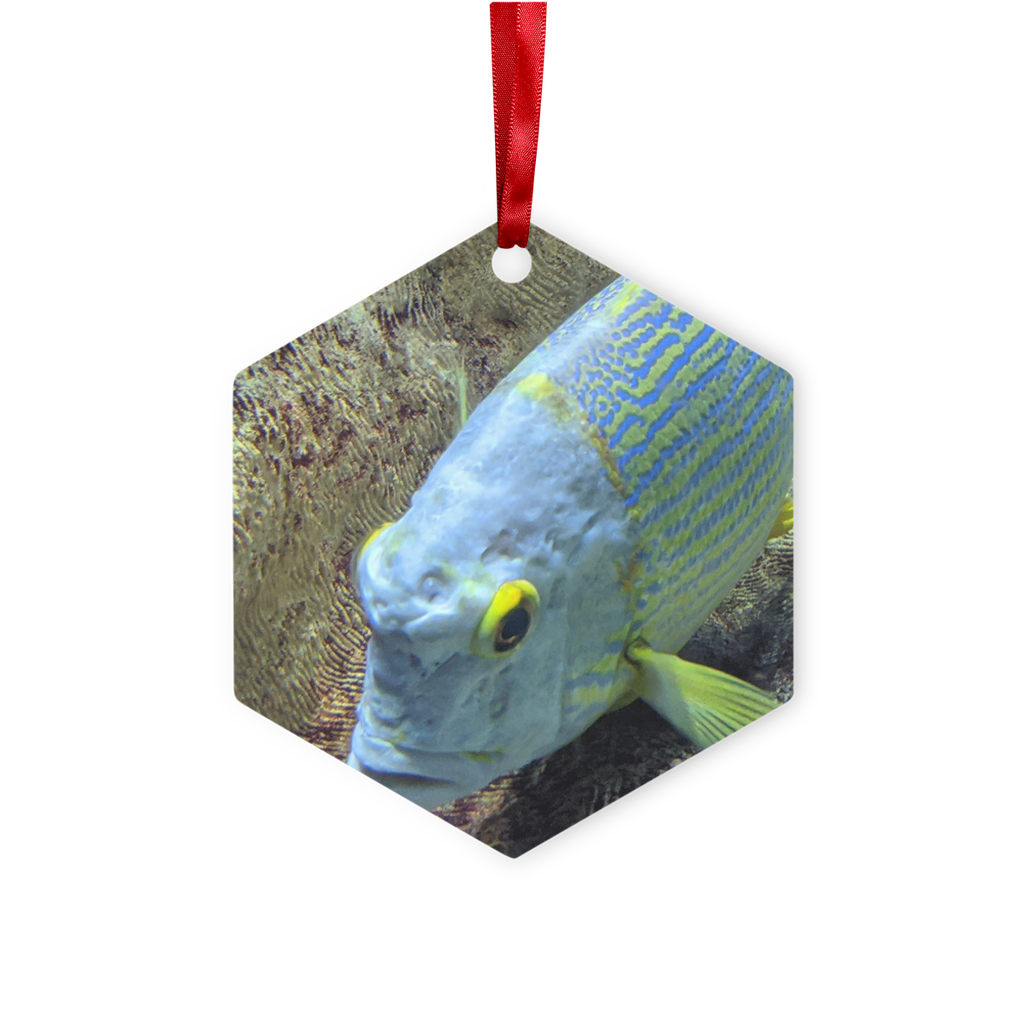 BlueYellowFish Metal Hanging Ornament in hexagon and star shapes, featuring a gloss white finish and red ribbon for hanging.