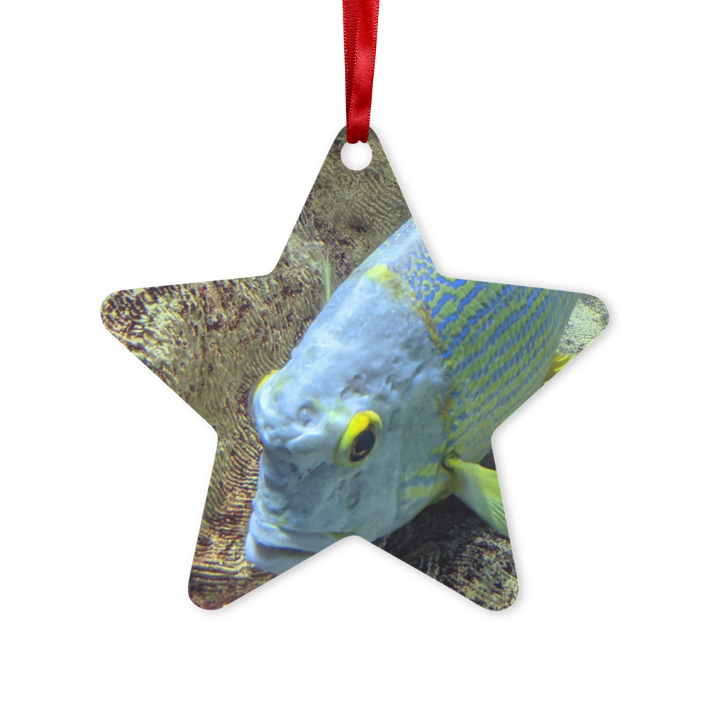 BlueYellowFish Metal Hanging Ornament in hexagon and star shapes, featuring a gloss white finish and red ribbon for hanging.